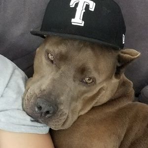 Meet your Posher, Kailee